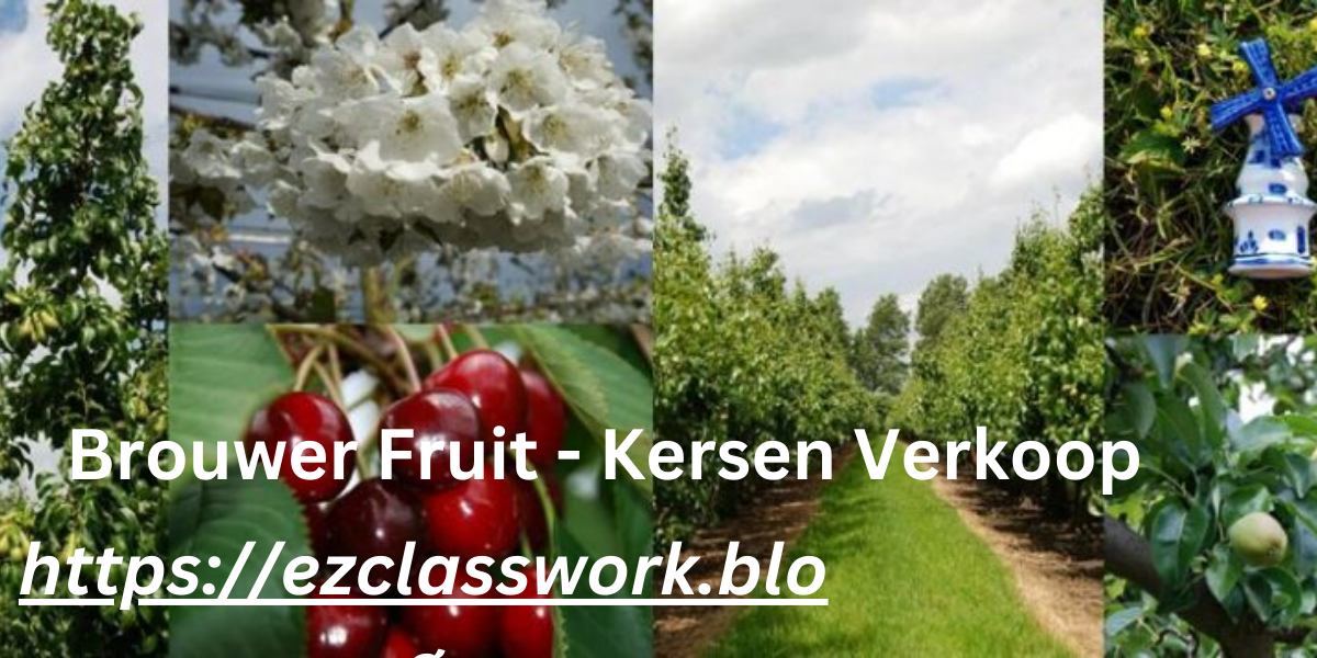 Brouwer Fruit - Kersen Verkoop